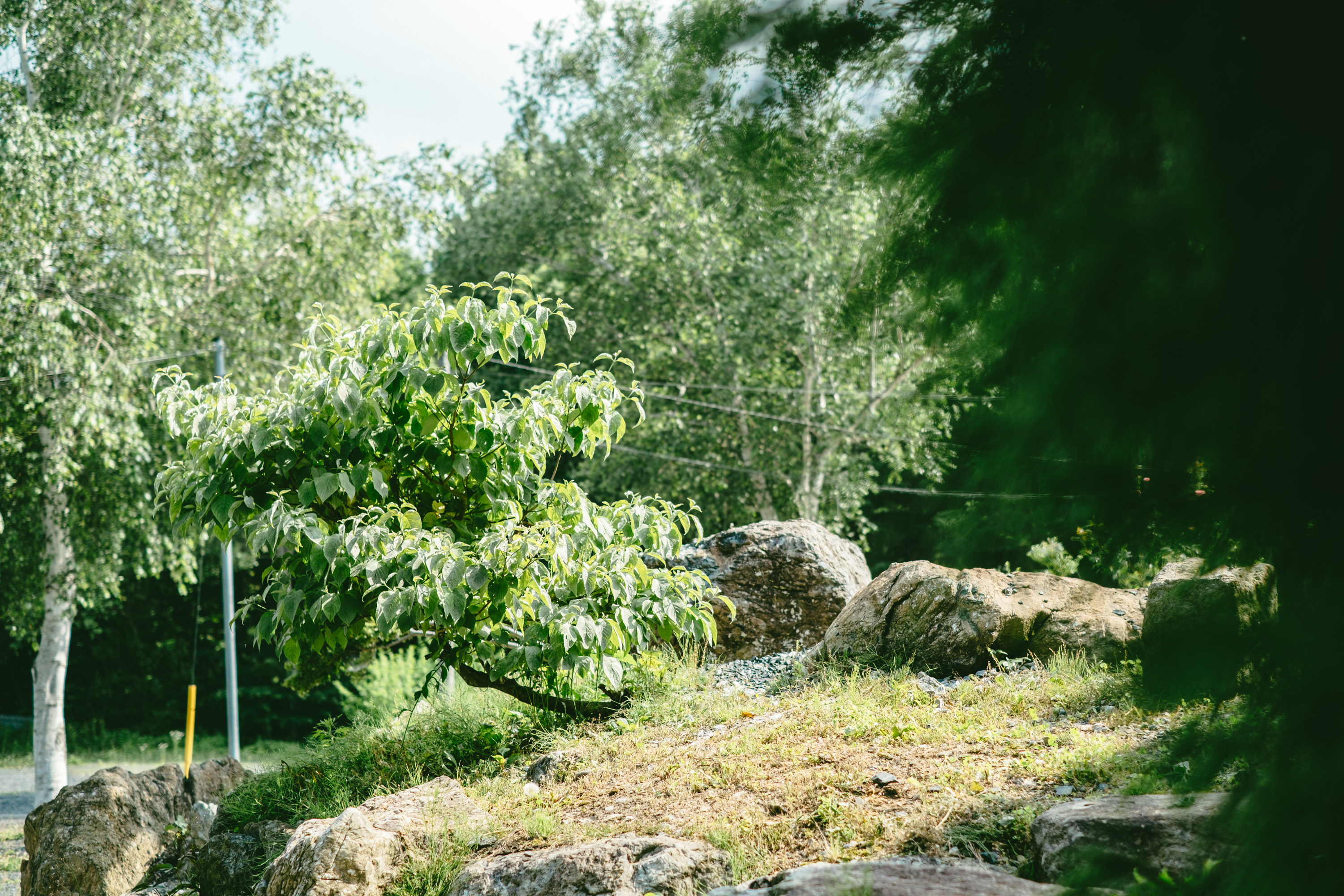 <かみくら外観>