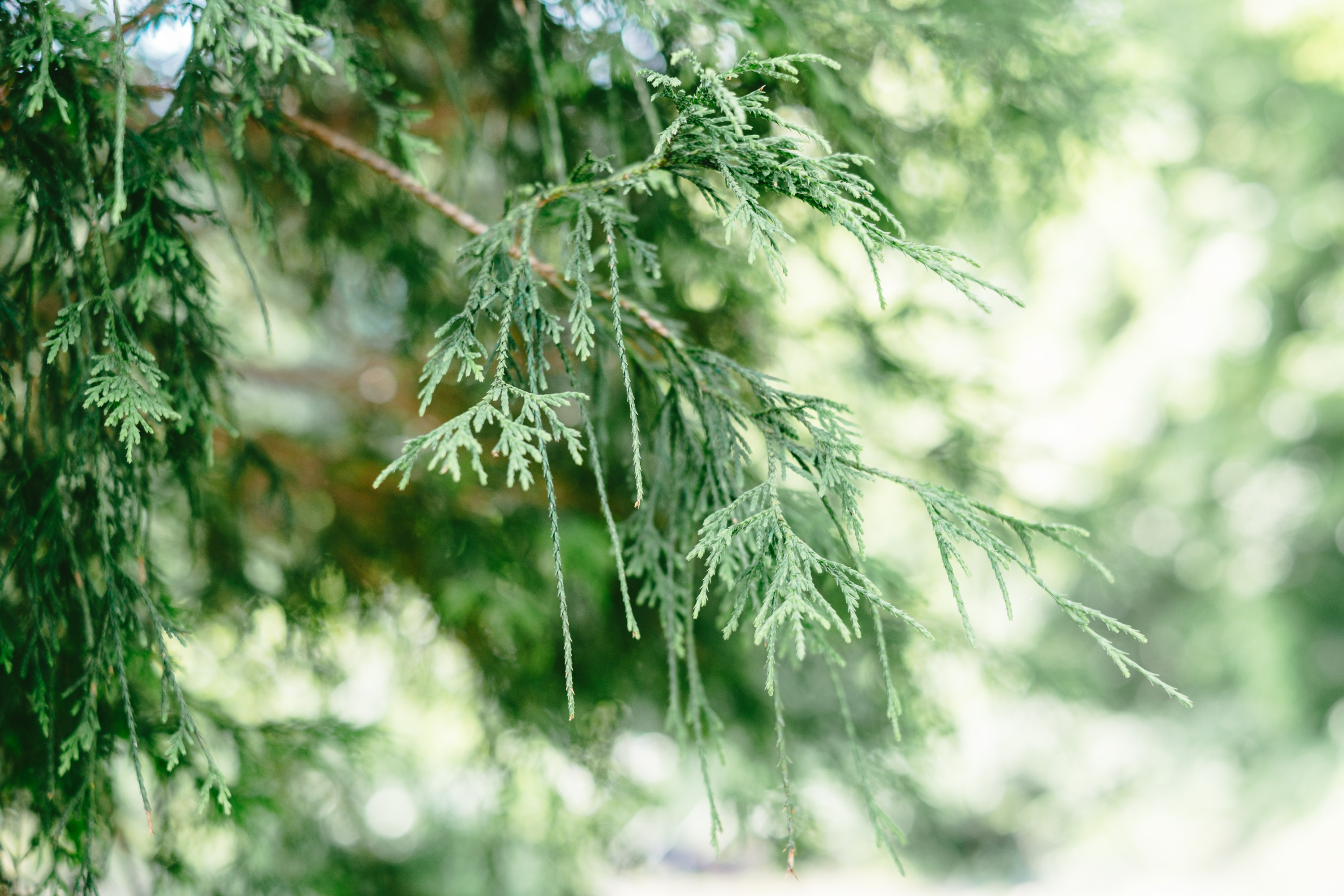 <かみくら外観>