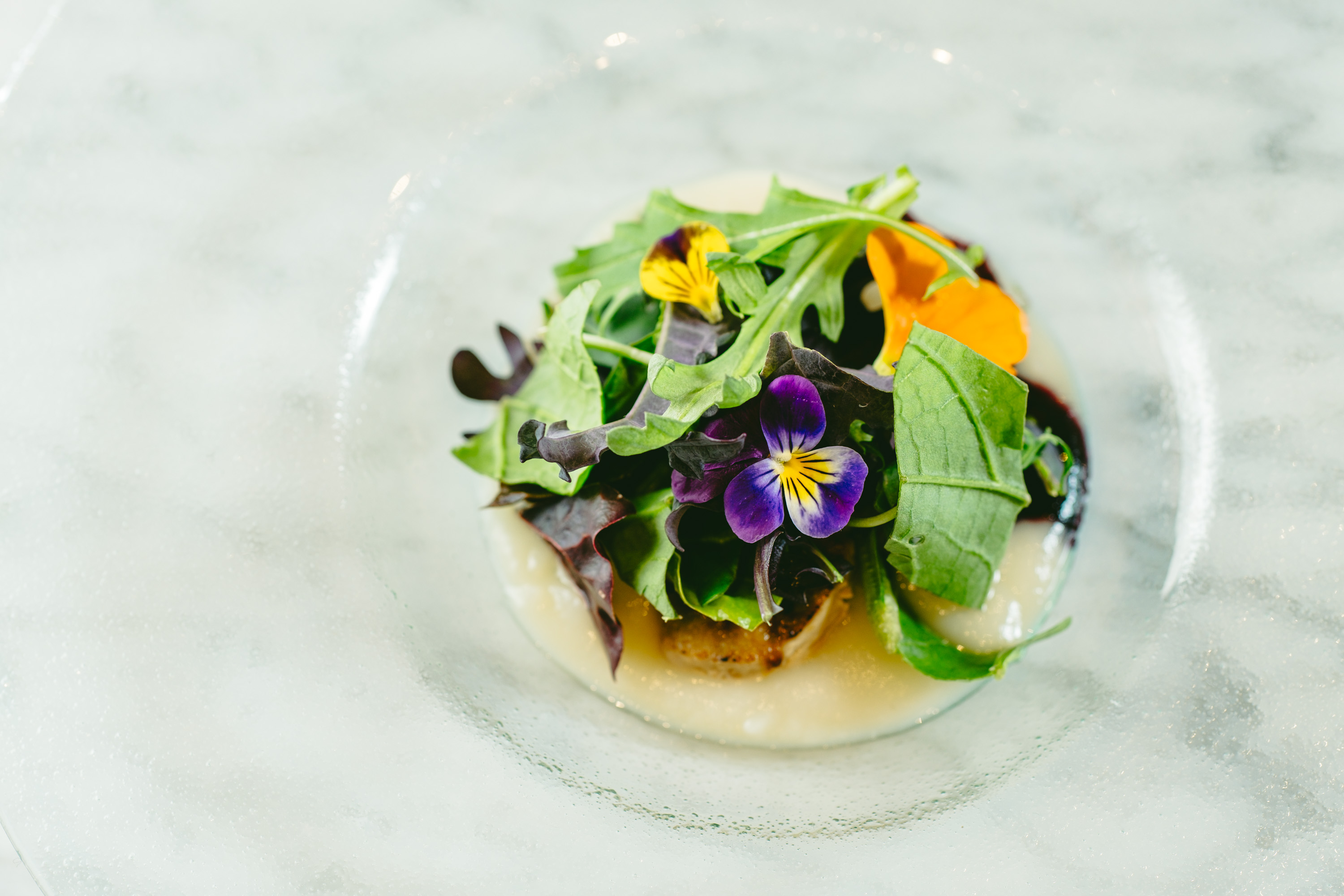 <2026年3月～5月>春霞