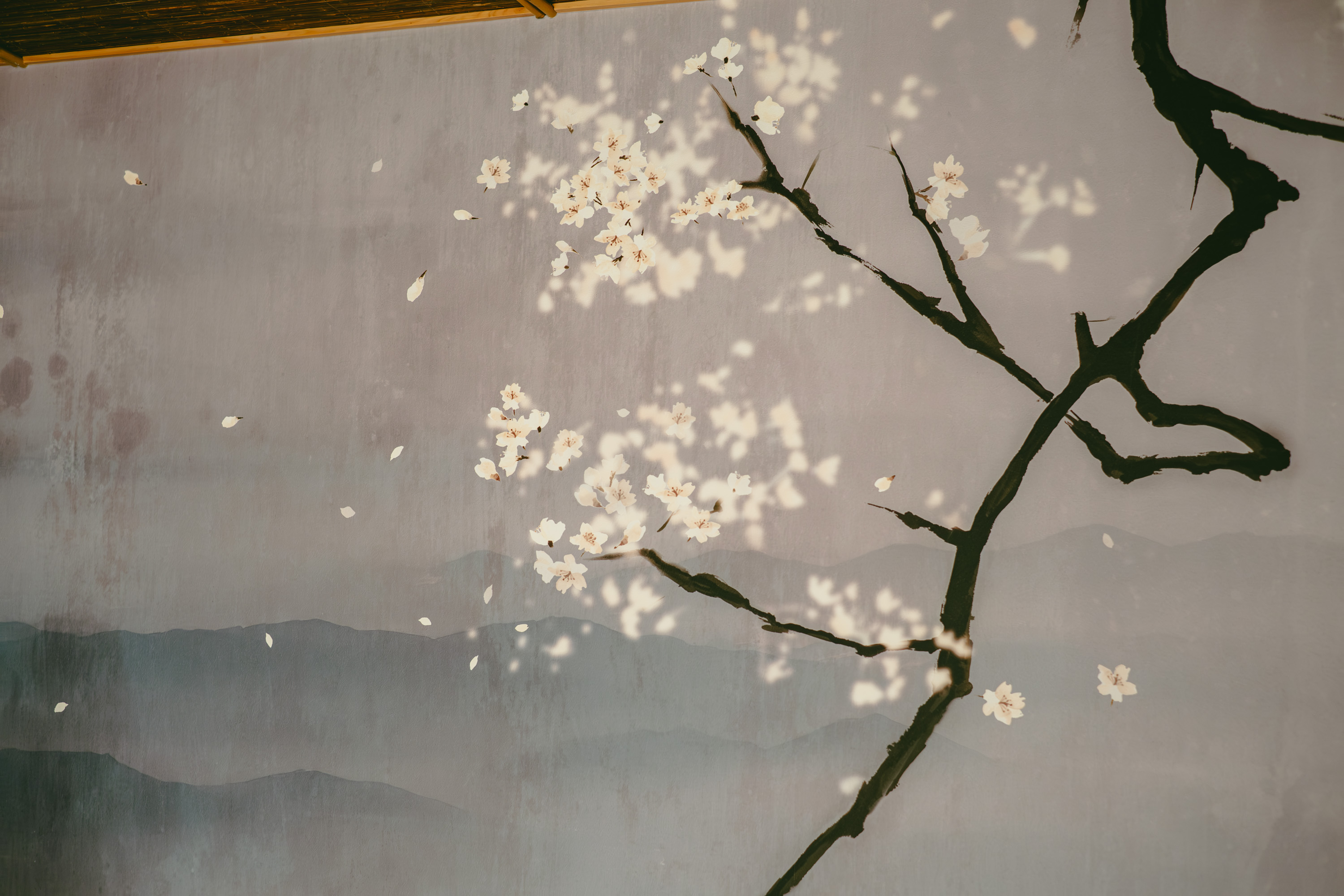 <東雲の壁紙 桜>