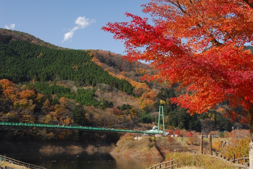 塩原温泉で紅葉を満喫！1泊2食付きバイキングプラン