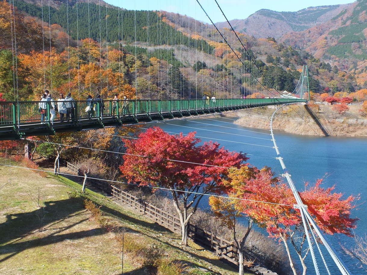 塩原温泉で紅葉を満喫！1泊2食付きバイキングプラン