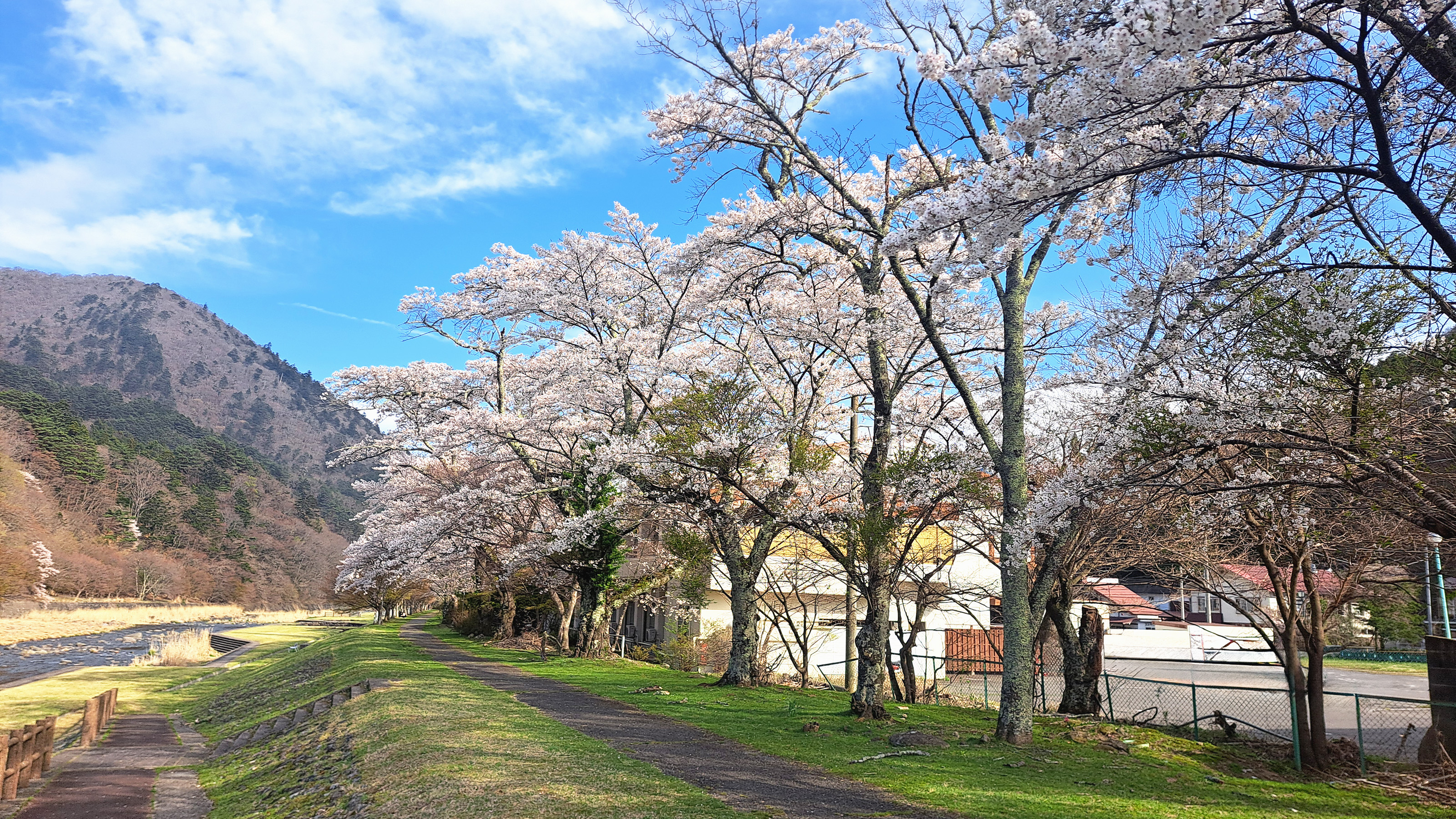 箒川