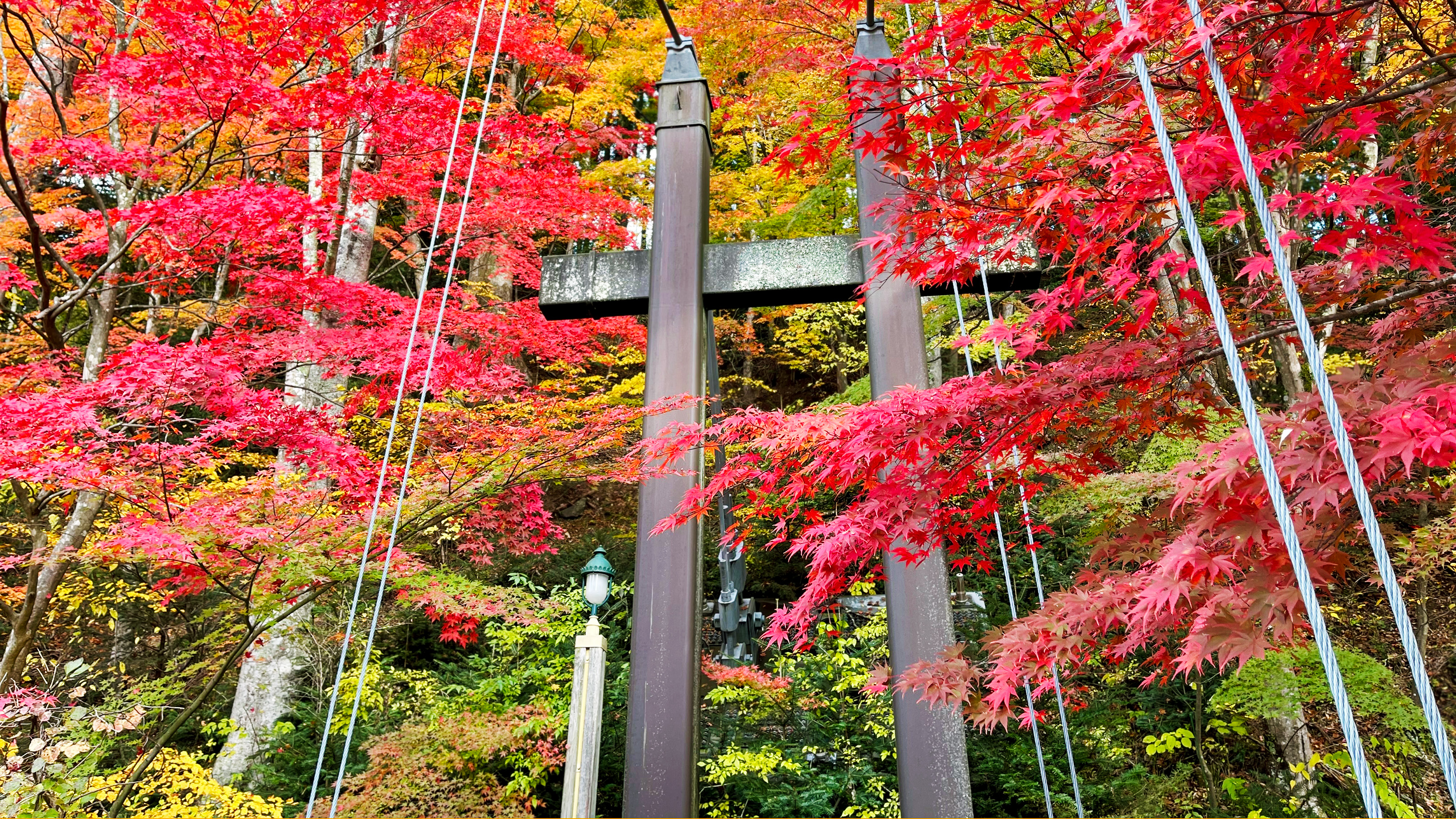 紅の吊り橋