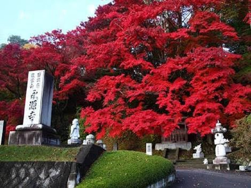紅葉を見に奥久慈へ行こう！ 飲み放題付１泊２食付バイキングプラン