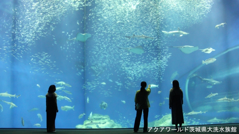 実はメリットがいっぱい！平日にお得に温泉に行こう！伊東園ホテルズの平日割！一泊二食付バイキングプラン