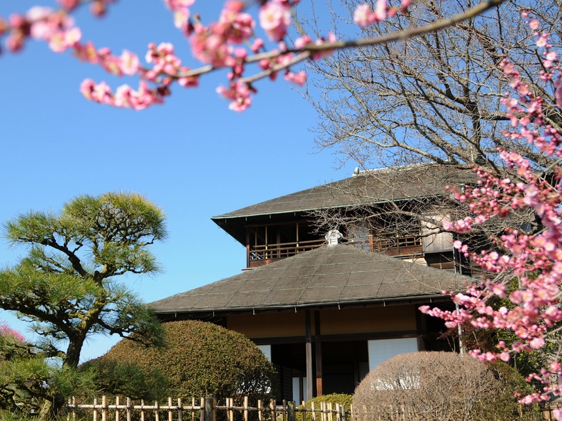 シニアに大人気の偕楽園!水戸に行くなら梅まつりは外せない ！1泊2食バイキングプラン