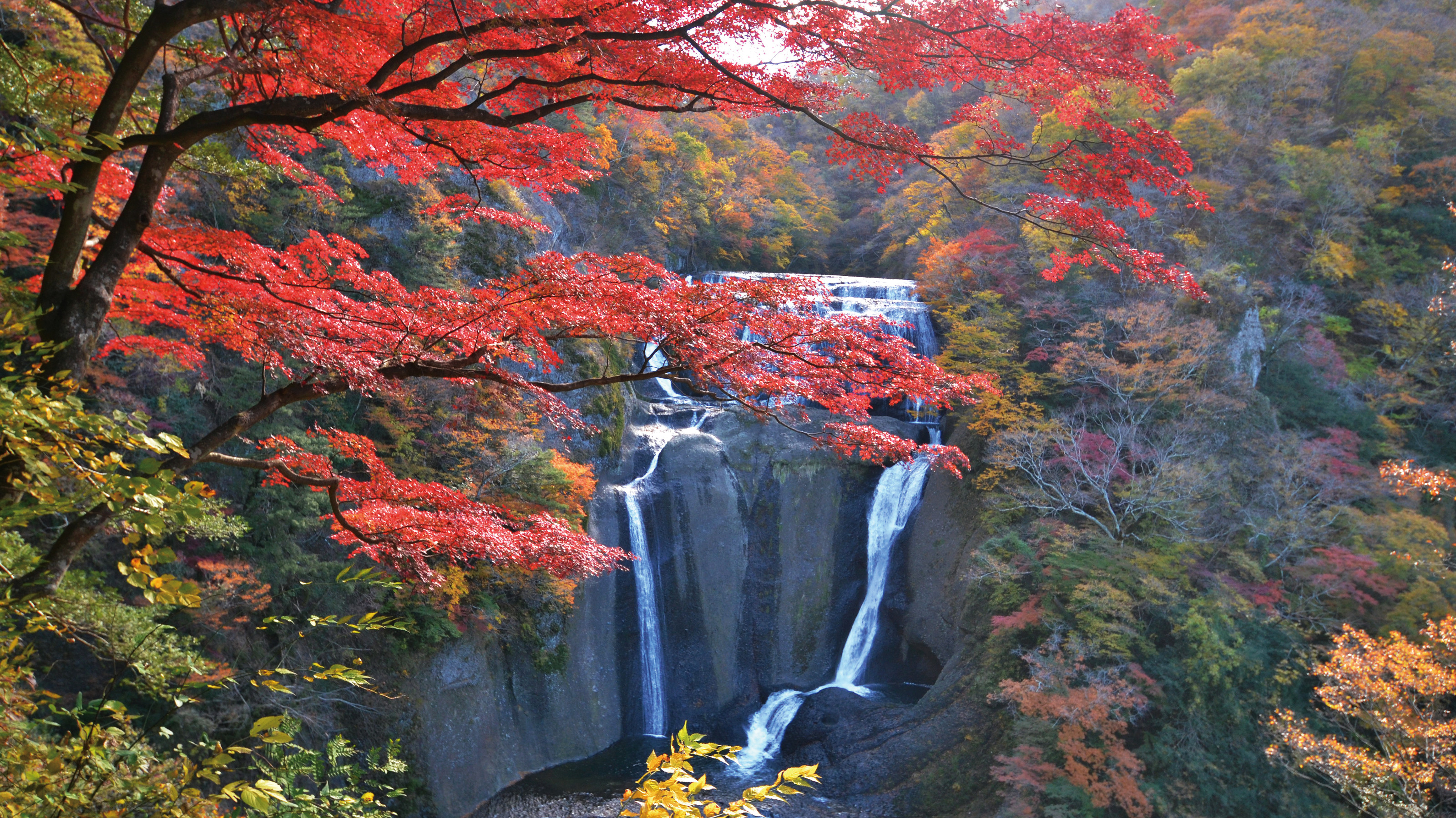 〇袋田の滝　紅葉