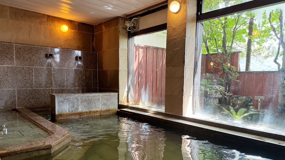 【白樺湖を望む客室】一泊二食飲み放題付きプラン