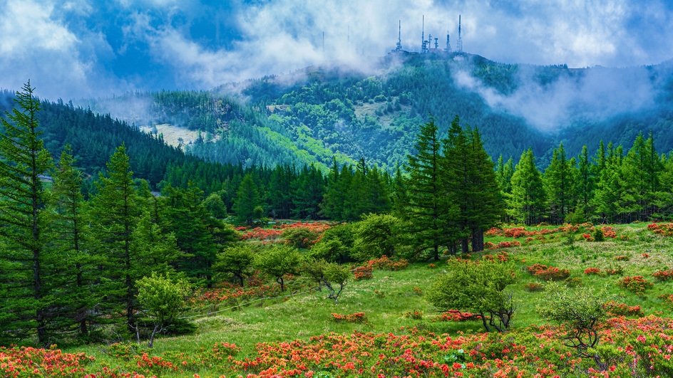【スタンダード】一泊二食飲み放題付きプラン！