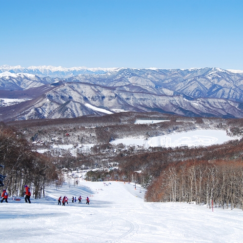 国際スキー場のゲレンデは5コース御座います。
