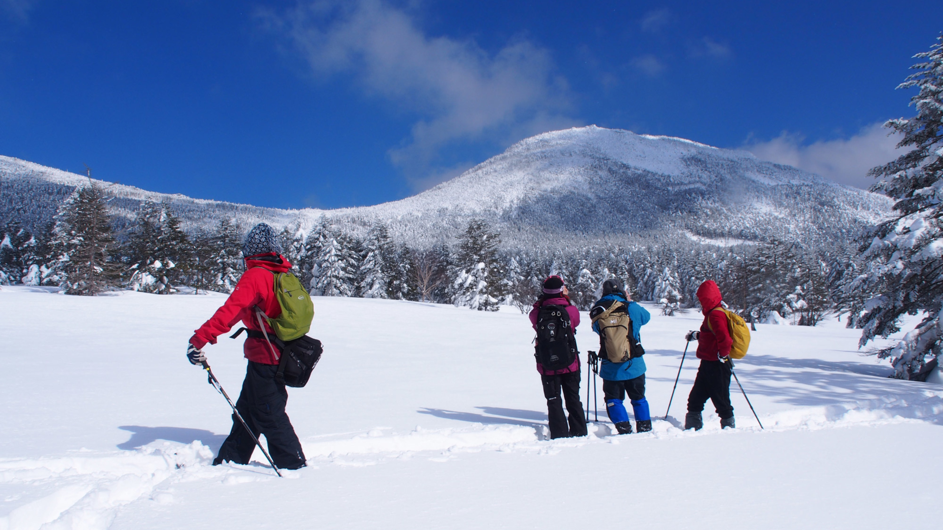 ピラタス蓼科スノーリゾート