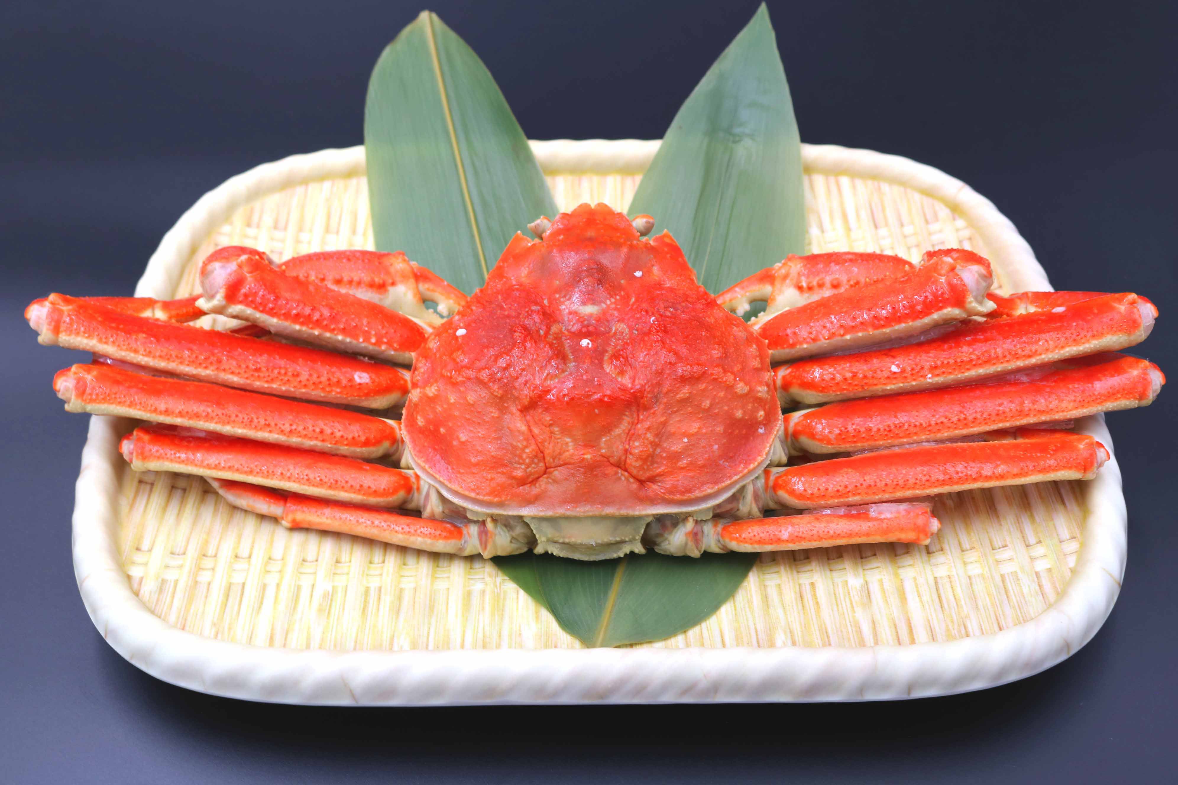 【楽天トラベルアワード2025☆受賞記念】限定10％オフ！タラバ蟹と贅沢会席◎飲み放題付120分