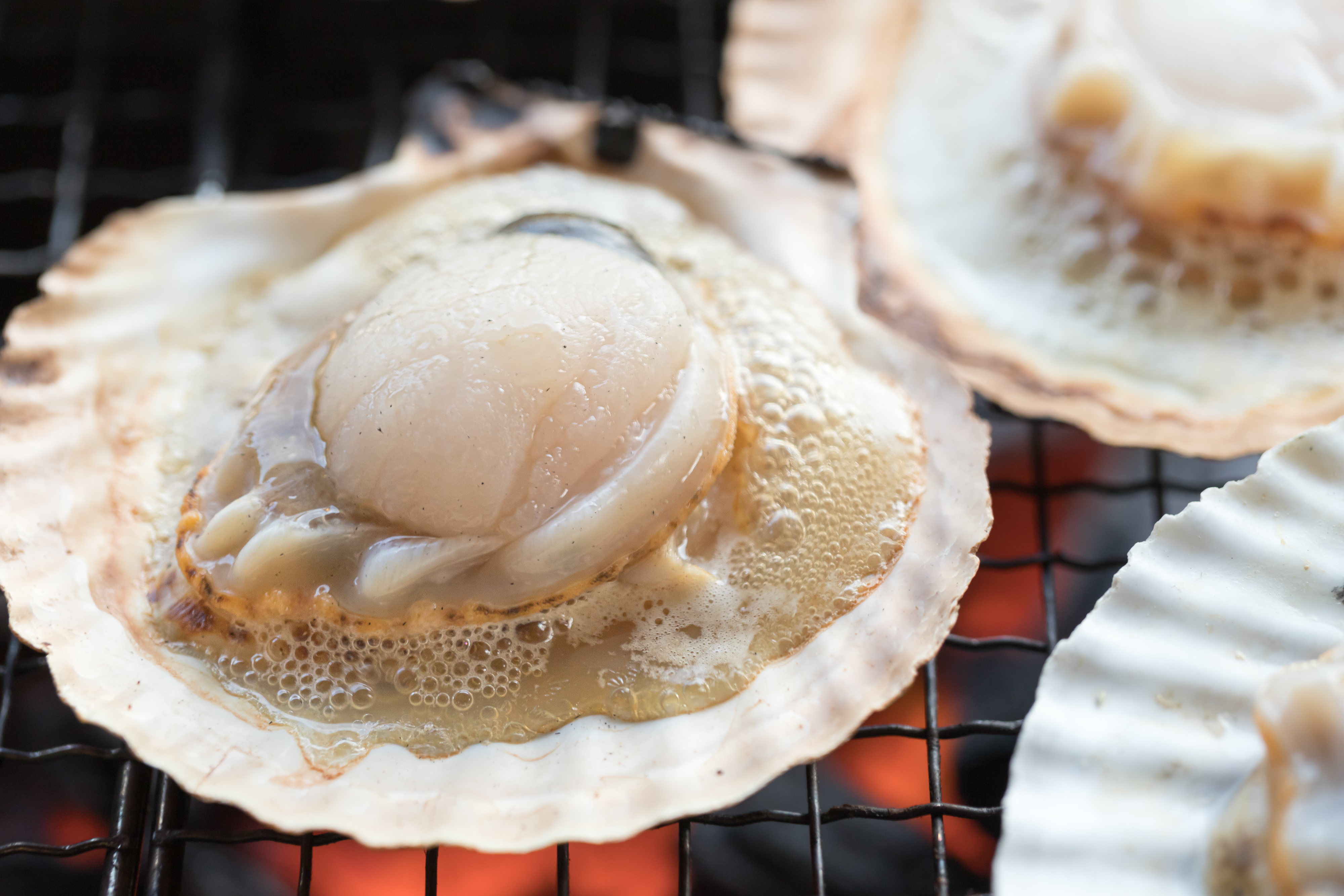 【北海道フェア/夕食】北海道産　ホタテ網焼き