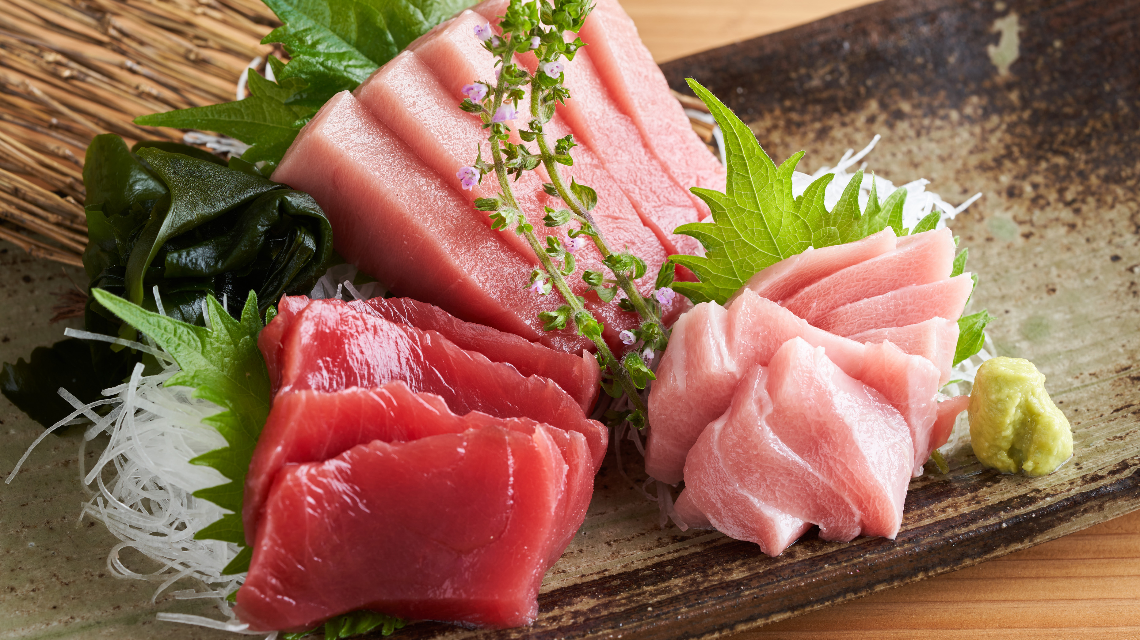 【夕食/百福豊穣】本マグロのお刺身〈大トロ・中トロ・赤身〉