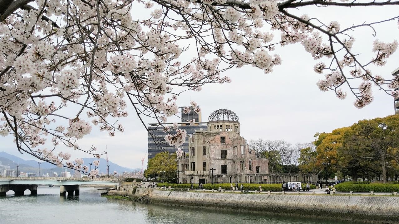 原爆ドームと桜　路面電車で約20分です。