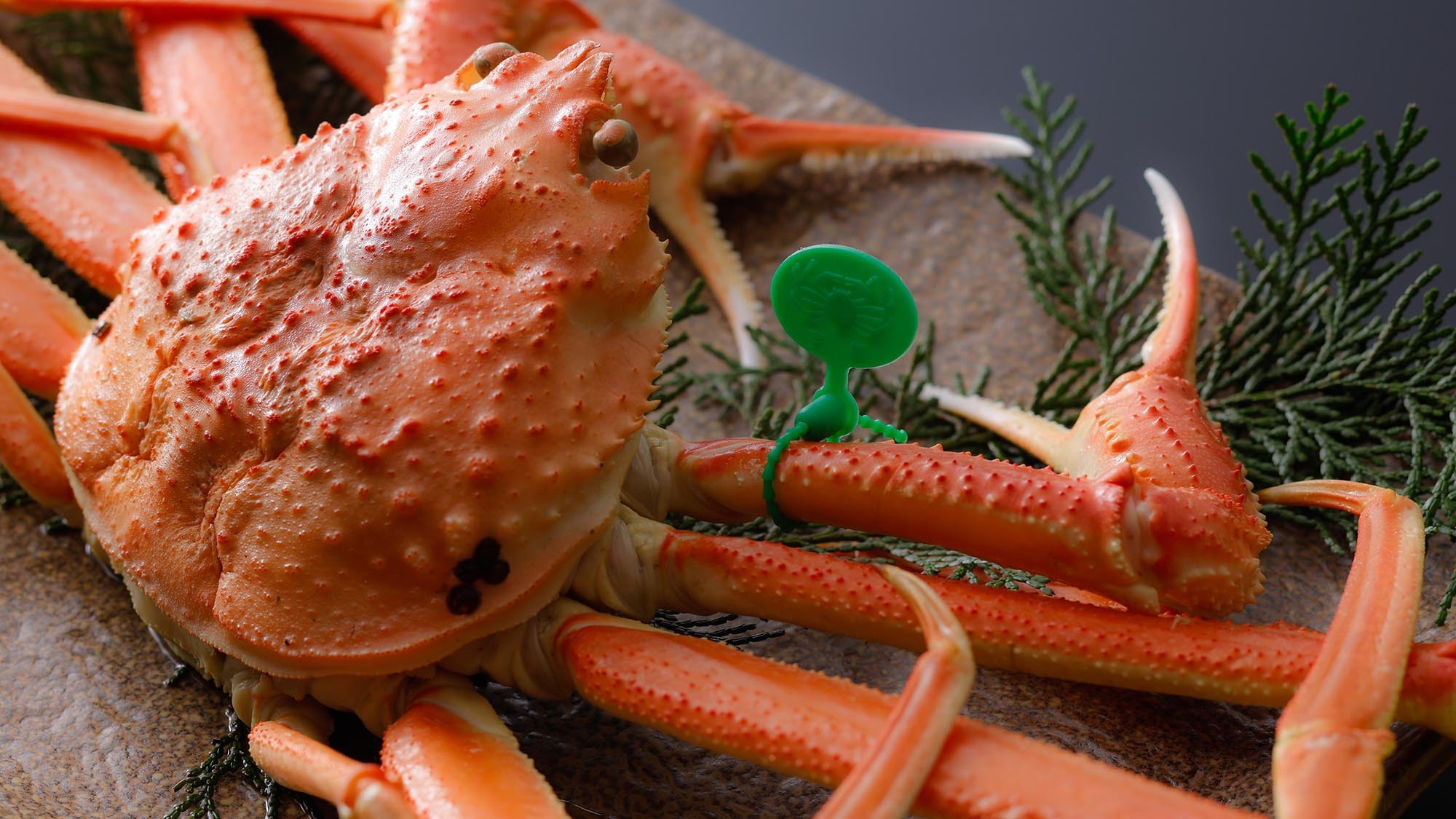 【新春＆蟹食べ納め】・アウト11時・ゆるり語らう丹後の夜●山陰松葉蟹×京都和牛付き蟹会席［H3n］