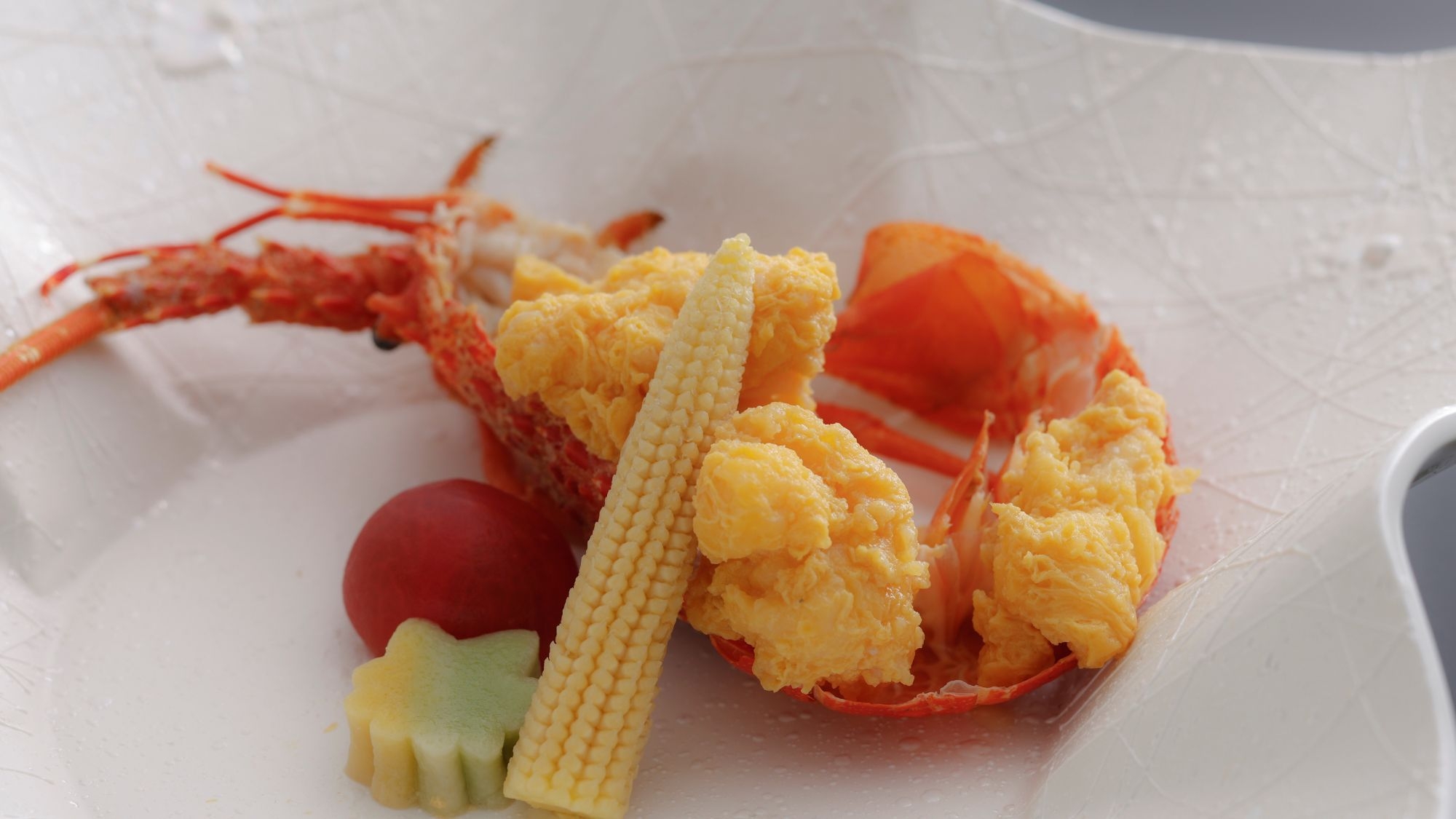 【優雅】五感で感じる食の滋味。料理長厳選の品と旬の彩りを愉しむ創作料理●Yuga 厳選一品付［HM］