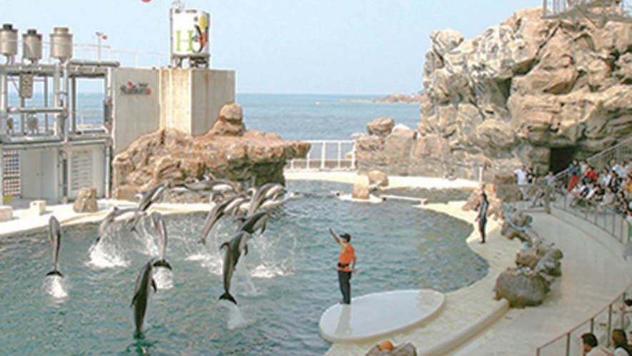 【城崎マリンワールド】ドルフィンタッチ・トレーナー体験など楽しめる水族館（当館より車で約40分）