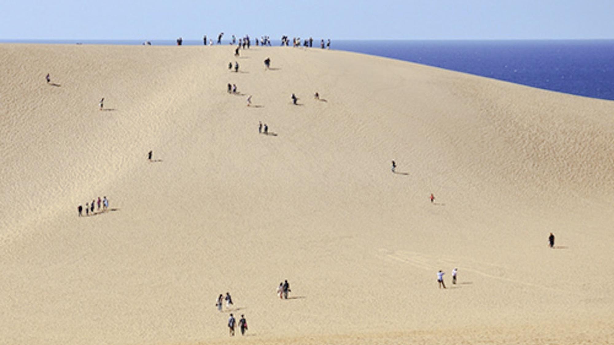 【鳥取砂丘】山陰海岸ジオパークスポット。日本最大級の砂丘からの景色は圧巻（当館より車で約110分）