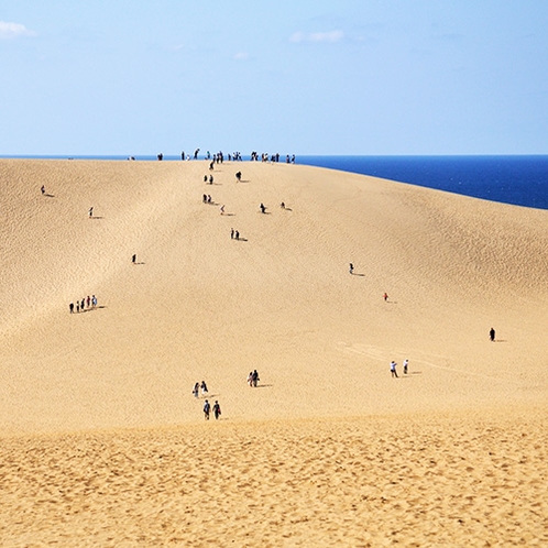 【鳥取砂丘】山陰海岸ジオパークスポット！日本最大級の砂丘からの景色は圧巻（当館より車で約90分)