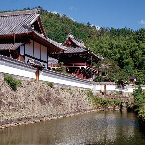 【黒井城跡＆興禅寺】大河ドラマ「麒麟がくる」光秀の丹波攻めの舞台となった地（当館より車で約100分)