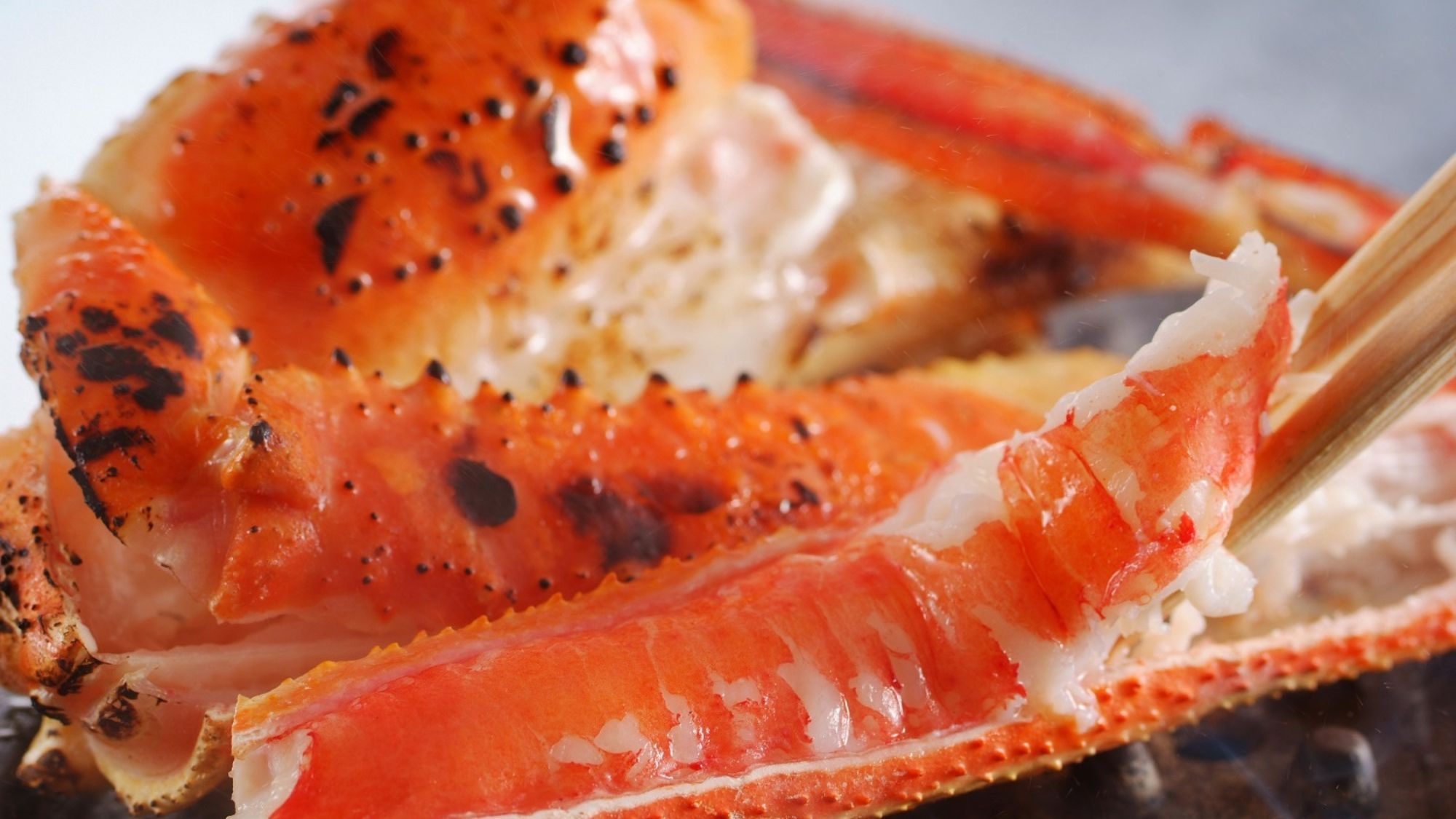 【冬　支持率No1】ボリューム満点！蟹と海の幸を心ゆくまで◆魚介盛付かに尽くし会席［ZI002IJ］