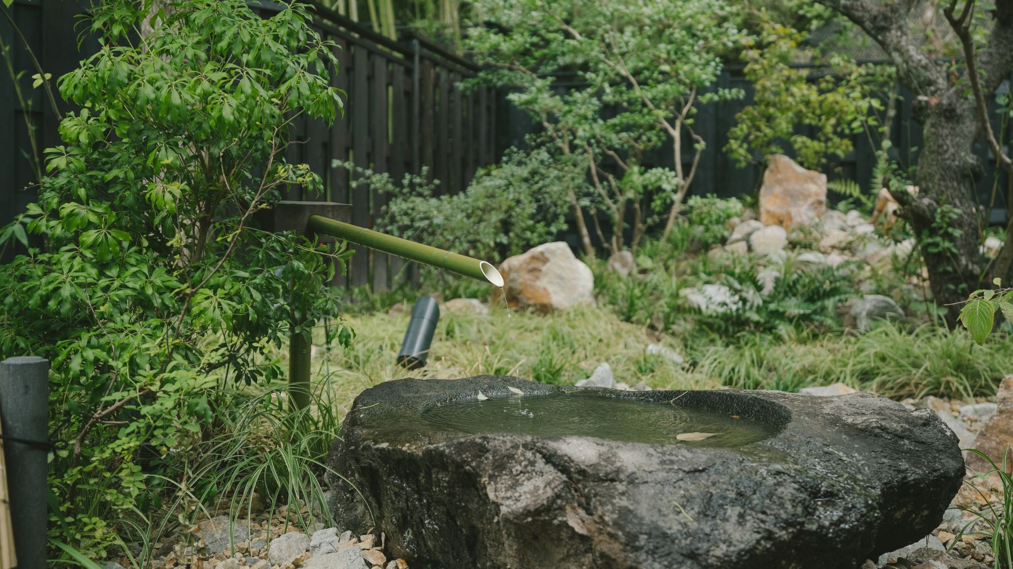 【さき楽30】通常価格より約５％引。 山海の滋味が息づく「海の京料理」春の陽気にのたり旅【AH】