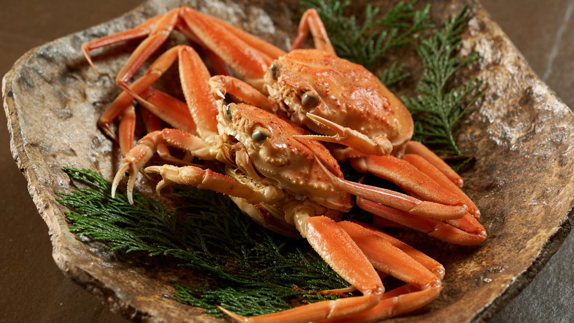 【新春特別】冬の荒波に磨かれし海の京料理。 新たな年を寿ぐ寒の恵み — 伊根鰤、蟹、旬野菜【AW】