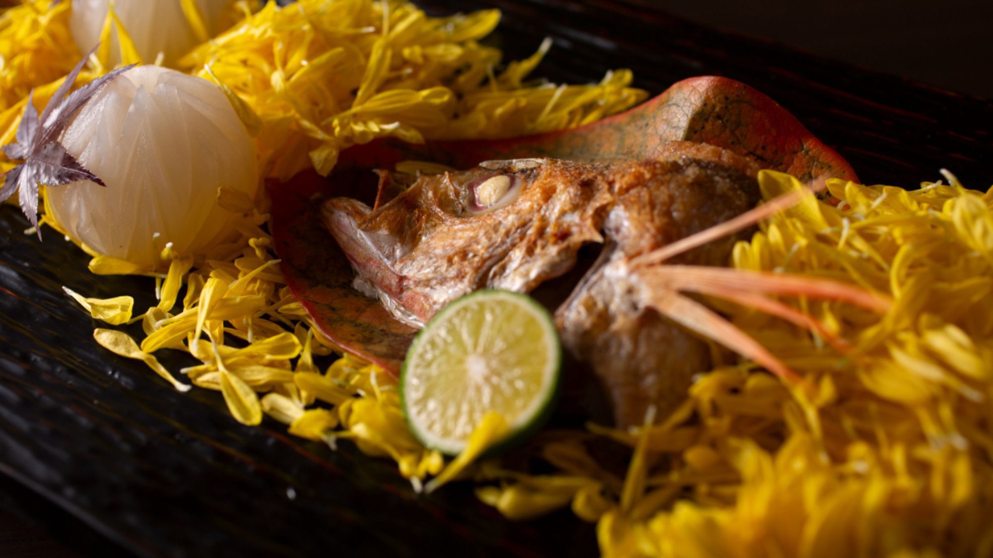 【一人旅｜スタンダード】間人・宮津の海の恵みと銘牛をひとり占め─ 静けさに寄り添う、贅の宵膳【AH】
