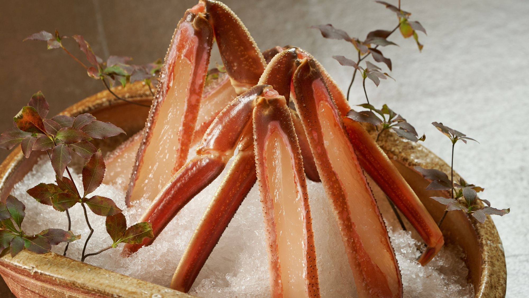 【冬｜特選】＜希少な１㎏級厳選＞タグ付き活松葉蟹お一人様一杯の豪快、蟹尽くし【AB】