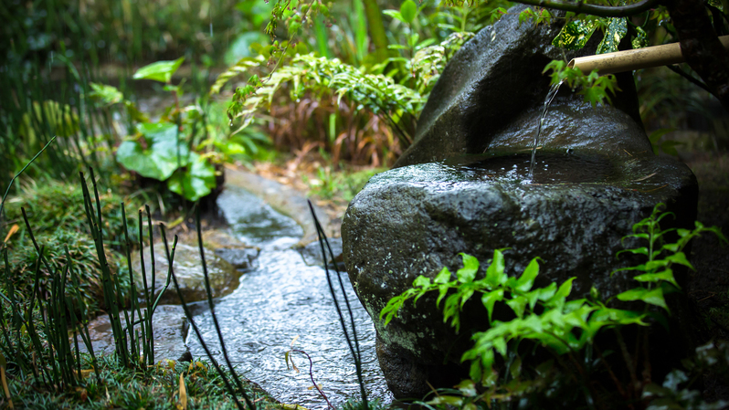 【一泊朝食付】温泉露天付き離れでひとときの雨宿り。−身体に優しい朝餉付き−【5ZX】