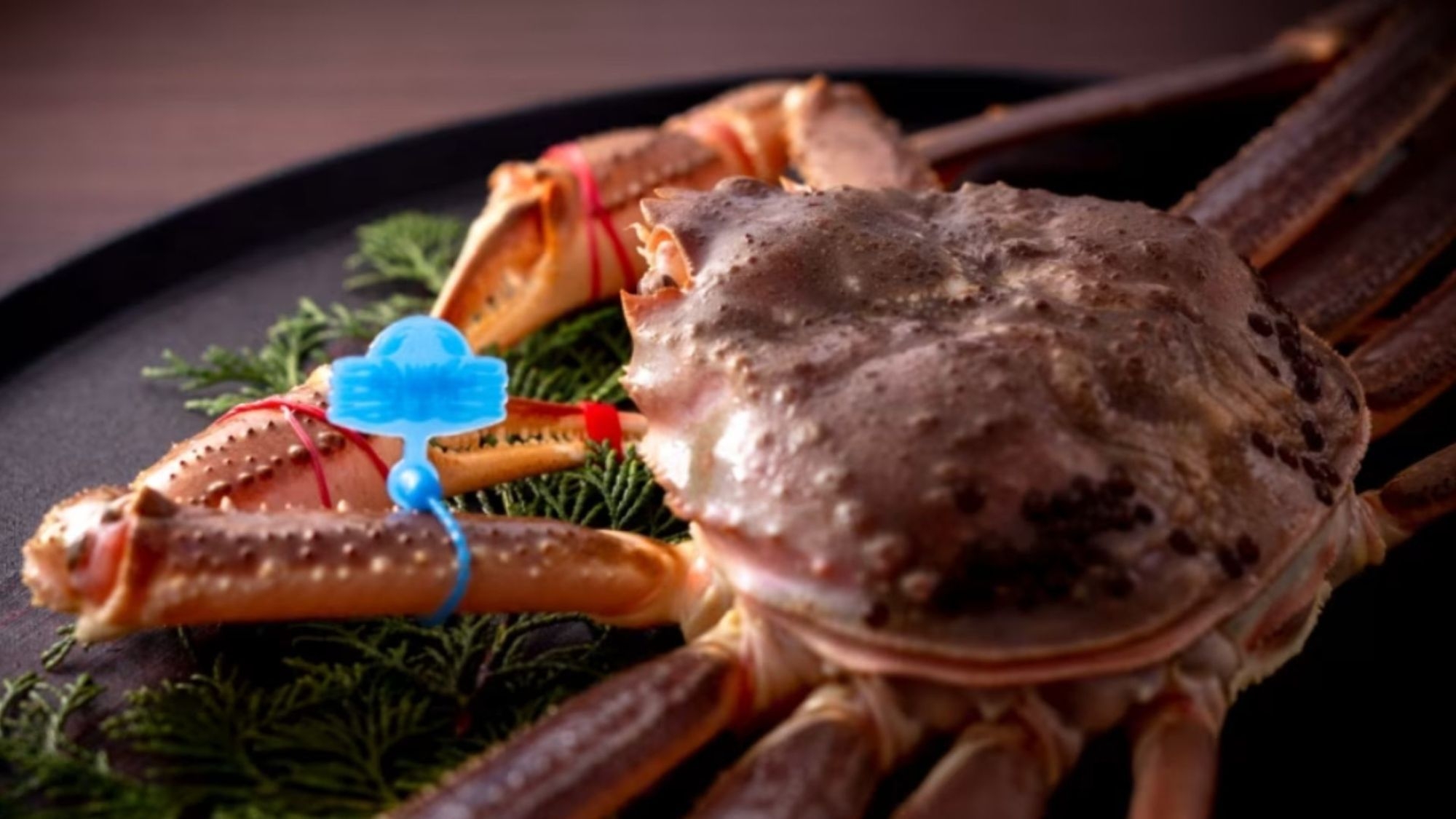 【蟹、禁漁間近】1日2組様限定、3/22迄の食べ納め。 今冬最後の活松葉蟹と但馬牛を愉しむ【ALk】