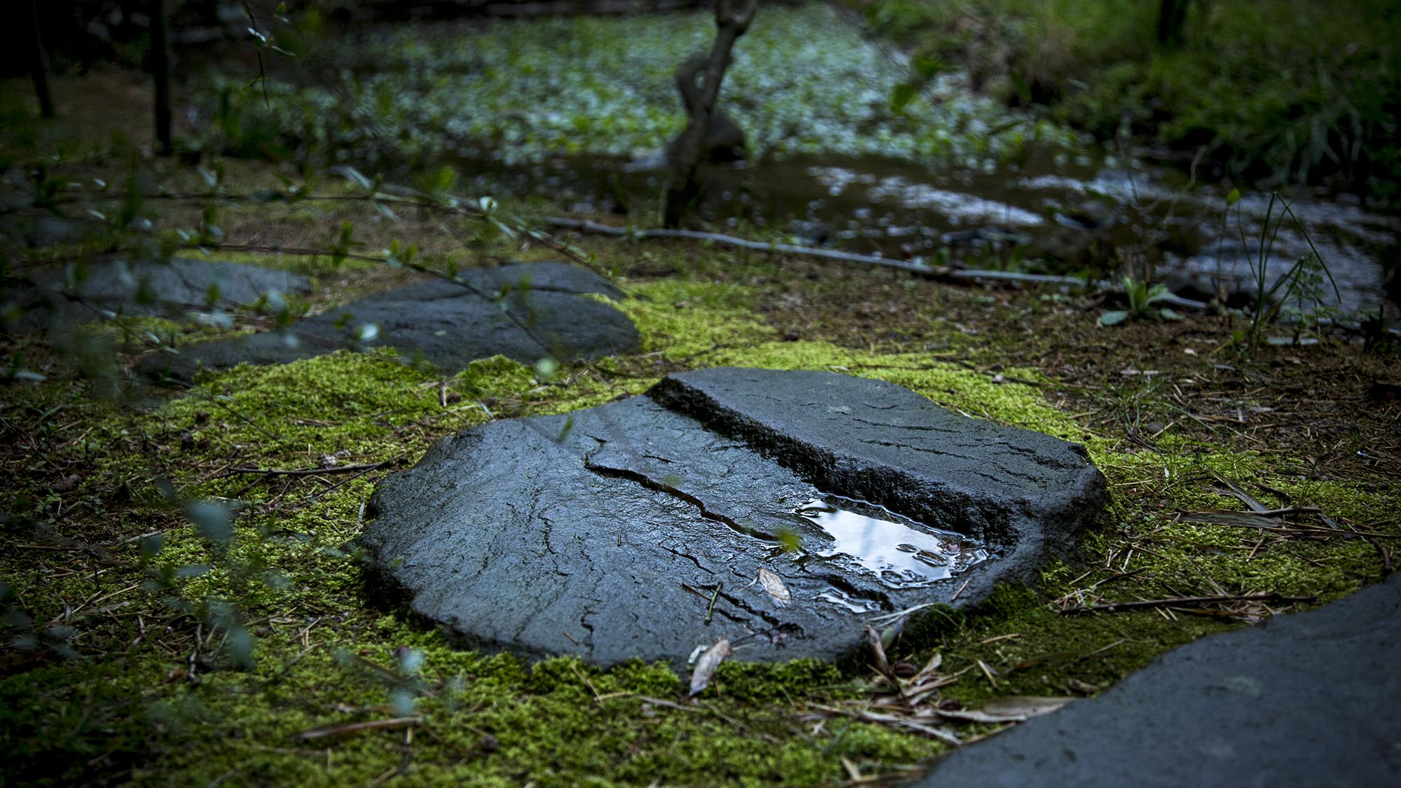 雨の日の風景