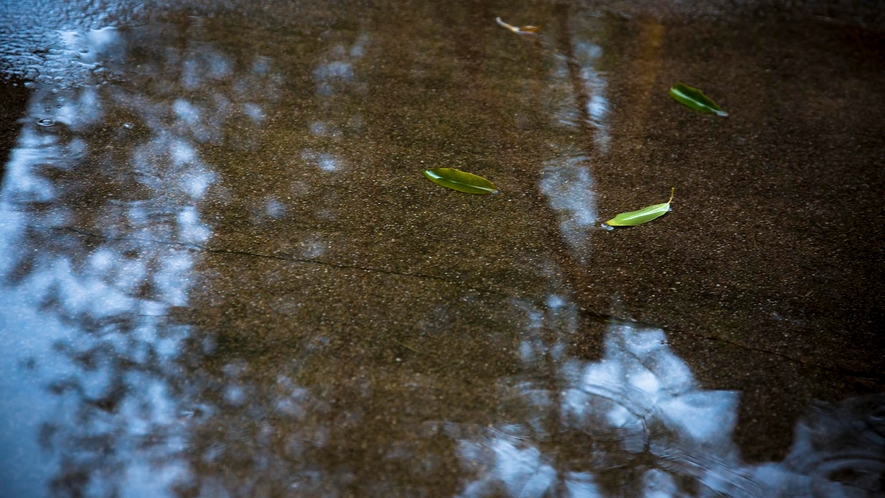 雨の日の風景