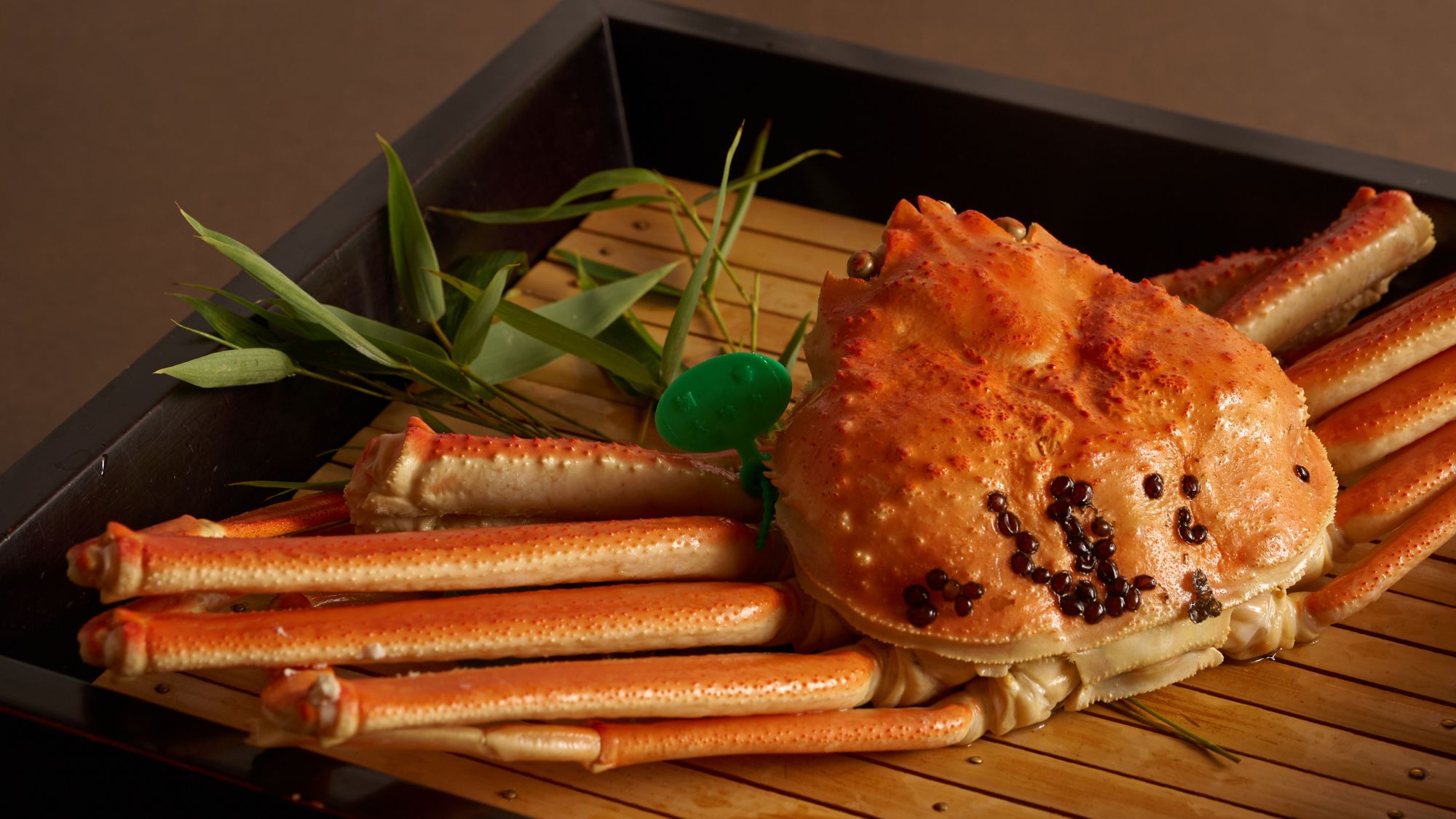 間人蟹は、丹後・間人港に日帰り漁で揚がる松葉蟹。水揚げ量が少なく、その鮮度と甘みから“幻の蟹”と称される希少な逸品