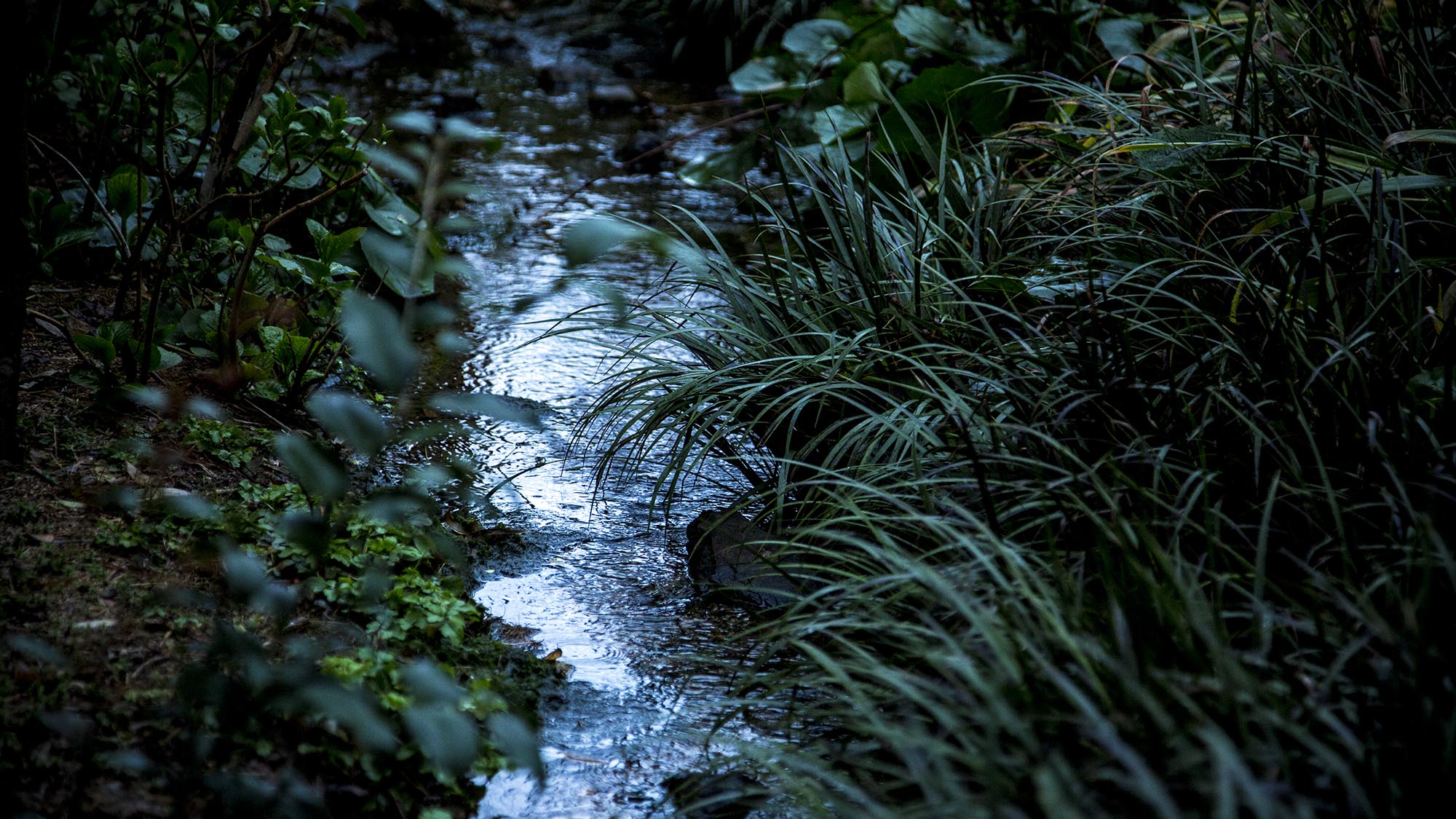 雨の日の風景