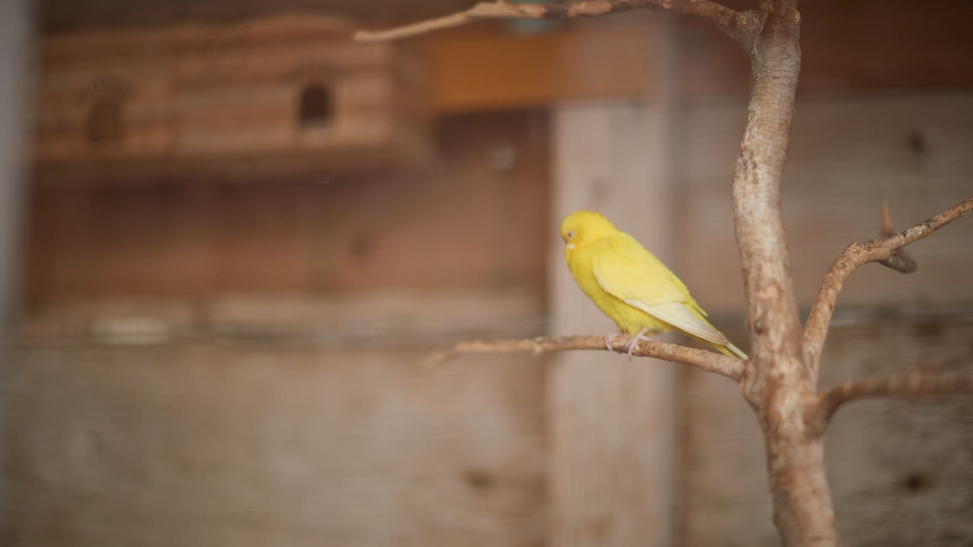 ホテルで見つけた小さな自然。やすらぎの空間でお寛ぎいただけます。