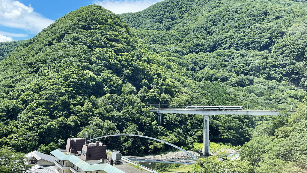 【夏旅×温泉】静かな温泉地・川治温泉で癒しの夏休み！1泊2食付きバイキング