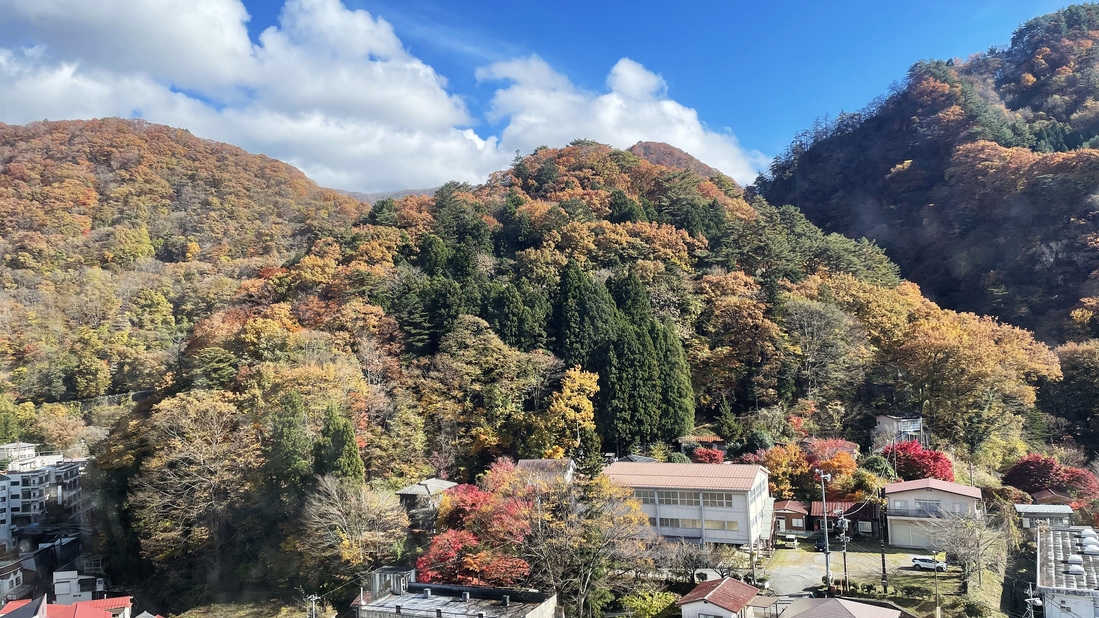 【紅葉を満喫しよう】龍王峡まで車で約10分　一泊二食付きバイキングプラン