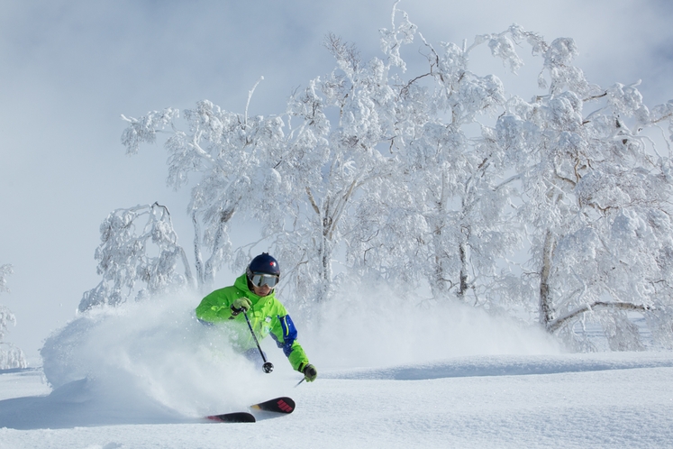 Niseko powder snow