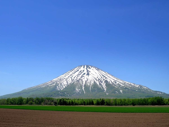 残雪残る羊蹄山