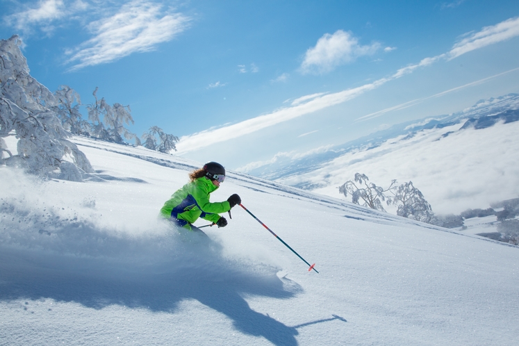 Niseko powder snow