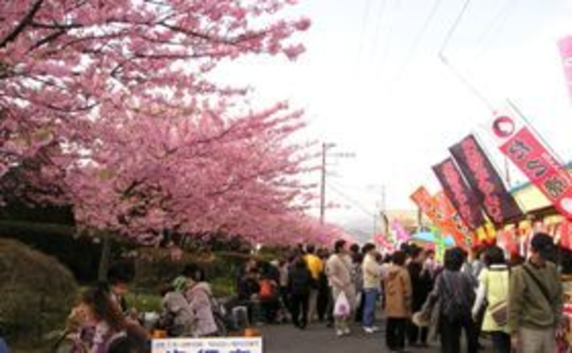 伊豆高原駅前の桜祭り