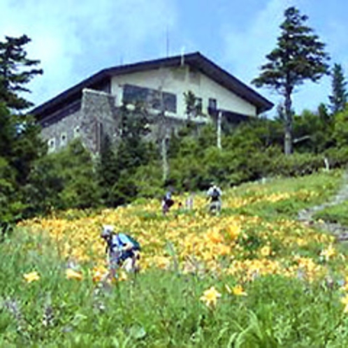 東館山高山植物園（天空コース）