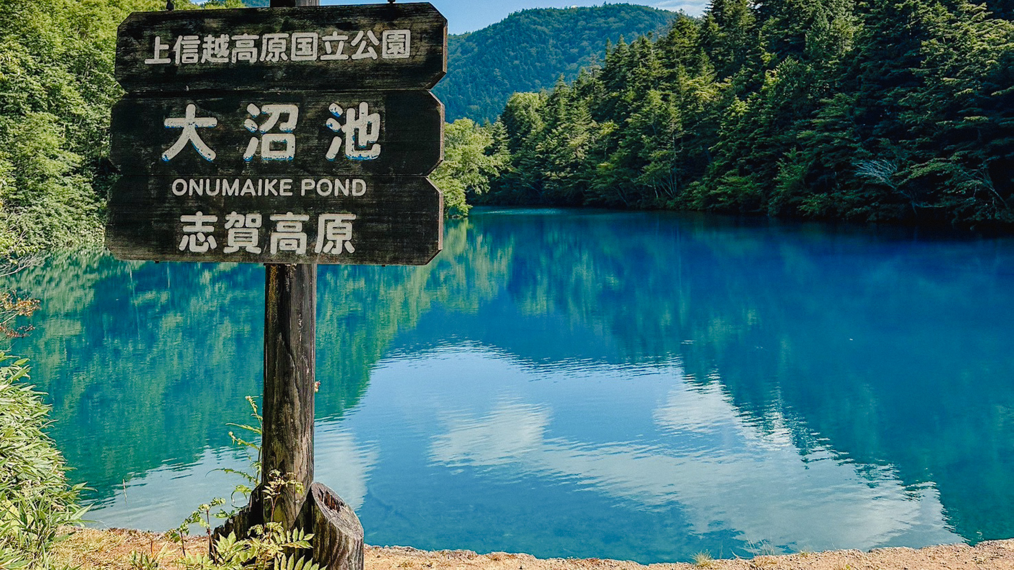 志賀高原の豊かな自然