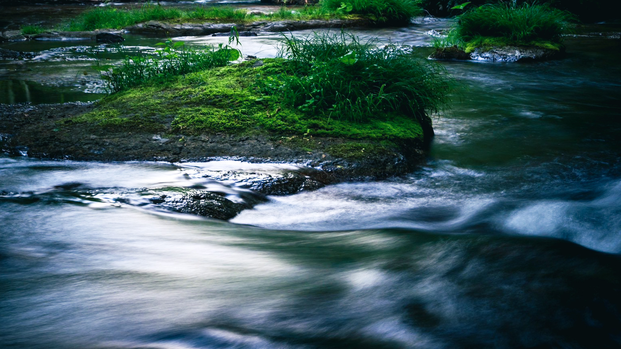志賀高原の豊かな自然