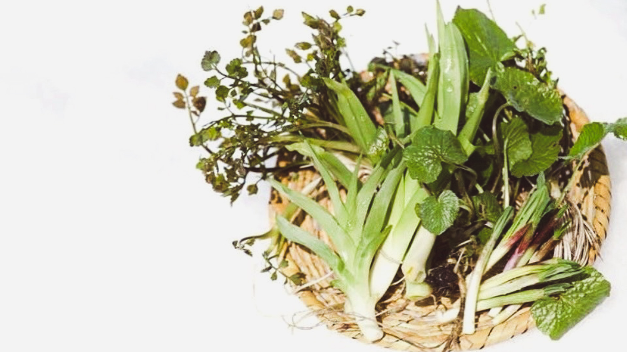 地元志賀高原で採れたものを季節に応じてお出ししております。