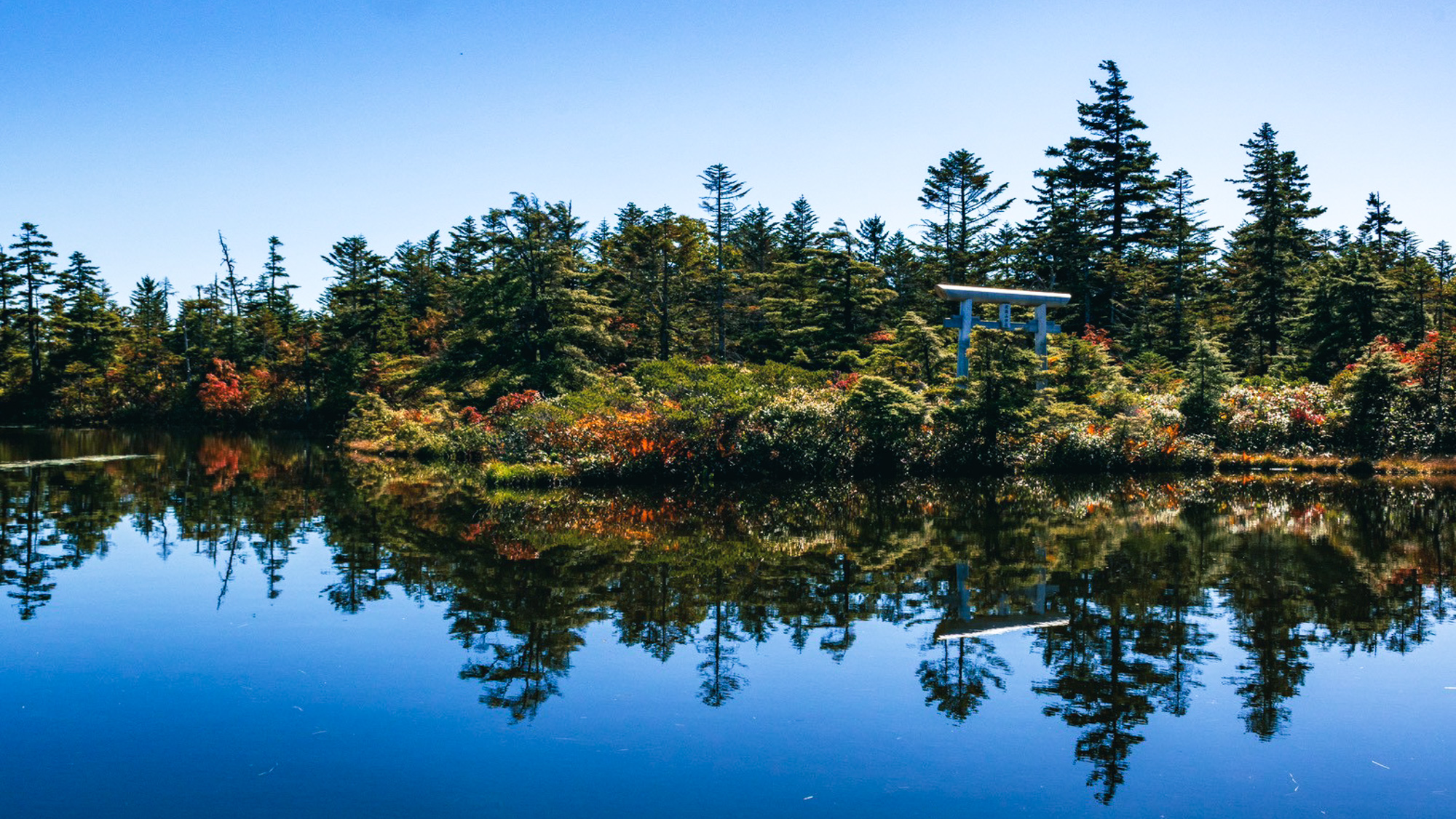 志賀高原の豊かな自然