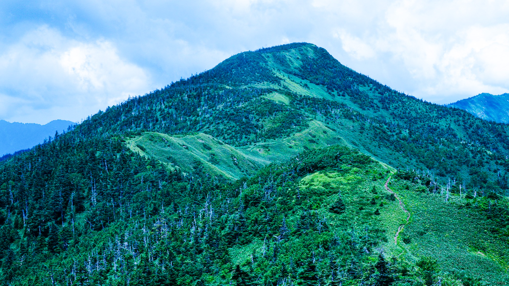 志賀高原の豊かな自然